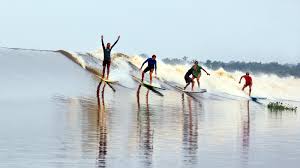 Ombak Bono di Riau, Jadi Tempat Favorit Peselancar Dunia